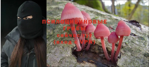 хмурый Медногорск