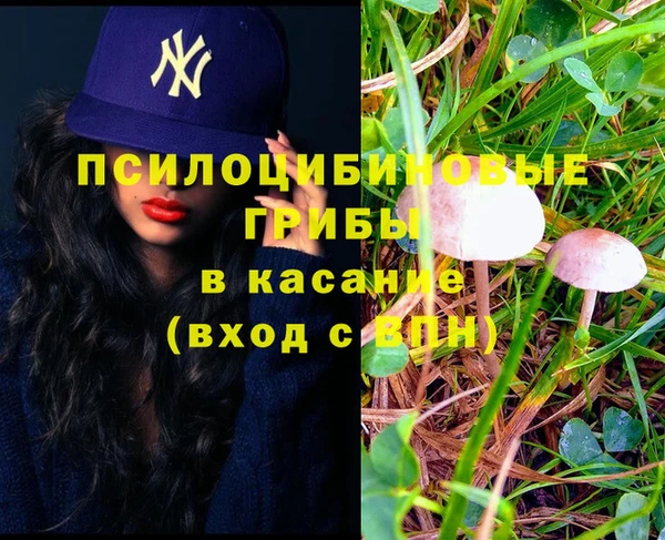 дживик Михайлов