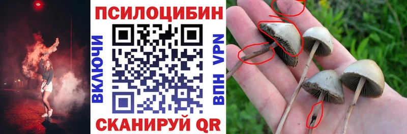 Галлюциногенные грибы Magic Shrooms  Суоярви 